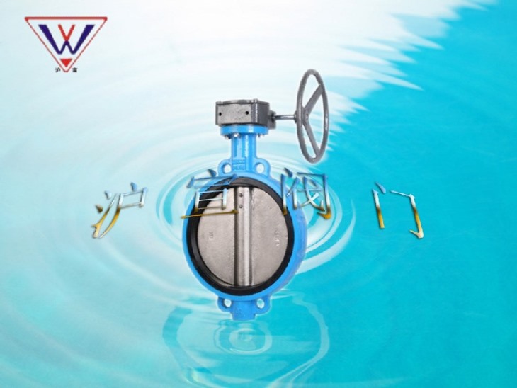 （全襯）蝸輪對(duì)夾襯膠蝶閥