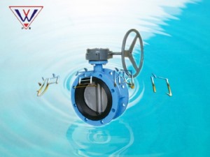 (全襯)法蘭襯膠蝶閥