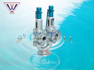 雙聯彈簧式安全閥